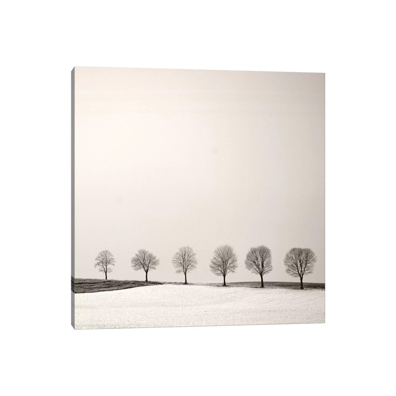 Tree Line 1 Piece Wrapped Canvas Wall Art, 66.04 cm H x 66.04 cm W x 1.91 cm D