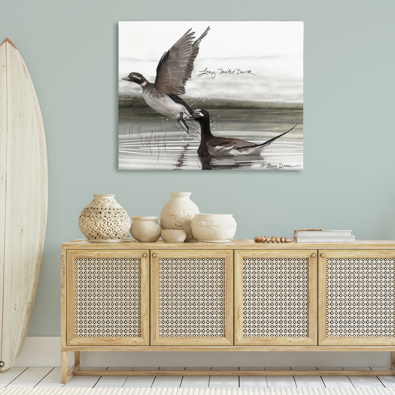 «Long Tailed Duck», art mural par Jadei, H 30 po x l 40 po
