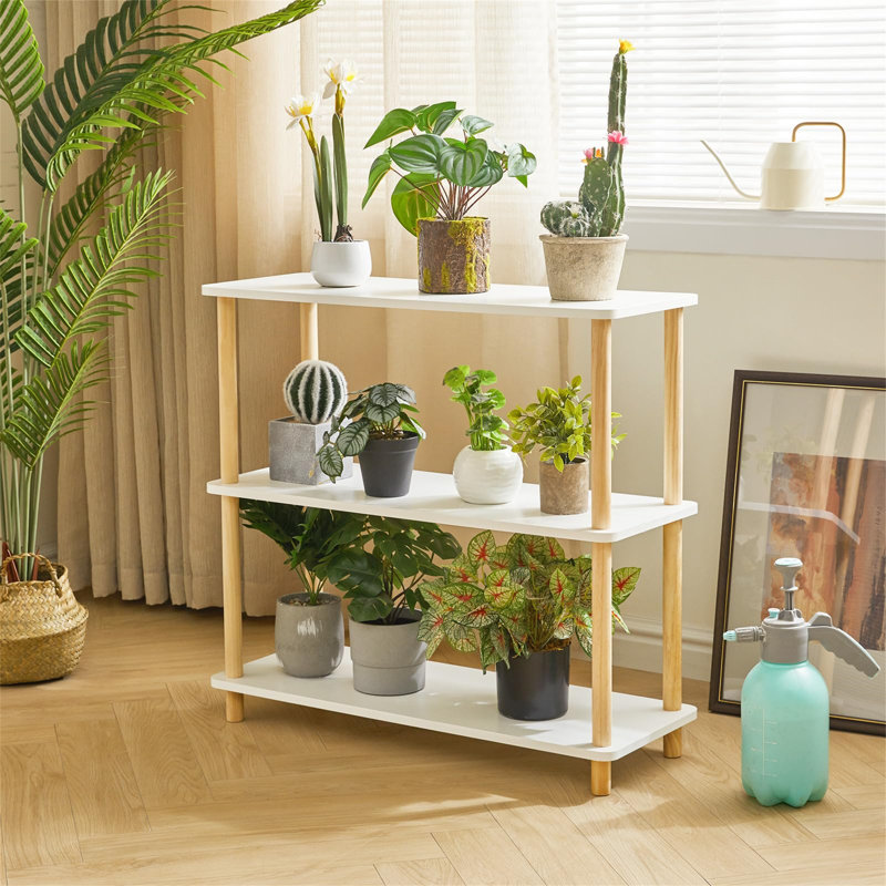 Aryssa 80cm W Standard Bookcase, (3 Shelves) 74.5cm H x 80cm W x 30cm D