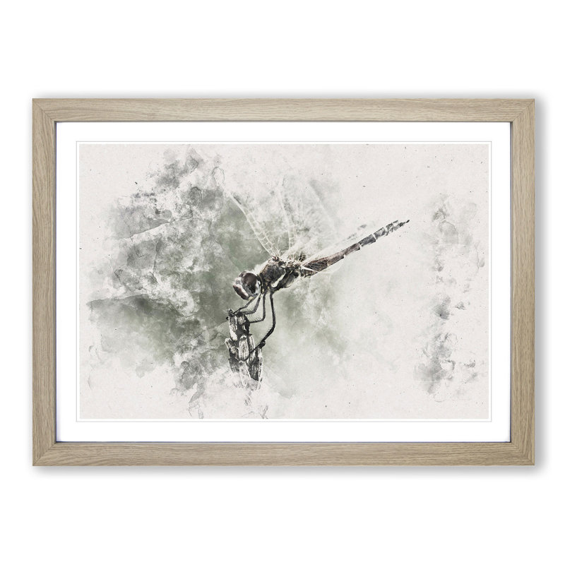 Perched Dragonfly - Picture Frame Painting Print, 45cm H x 63cm W x 2cm D, Oak Framed