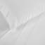 Fieldstone Cotton Two-Line Embroidered Deep Pocket Bed Sheet Set by Superior-101056809-110842880