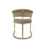 Dining Chair With Velvet Seat-2029791531-2029791526