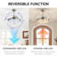 Ceiling Fan with LED Lights