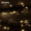 LED Twinkle Indoor / Outdoor String Lights-102833941