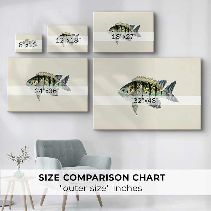 Collection de poissons tropicaux VI - Cavas enveloppés de galerie, 24 x 36