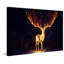 Firewalker by Jonas Jödicke - Wrapped Canvas Print-1674266889