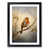 Black Framed selected