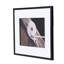 Art mural en corde de 30 po x 24 po dans un cadre noir, 3 pour espace de vie, chambre à coucher, bureau, entrée, blanc et noir, floraison en plastique avec pièce, espace de travail, vestibule, coïgne