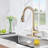 BATHLET Pull Down Kitchen Faucet