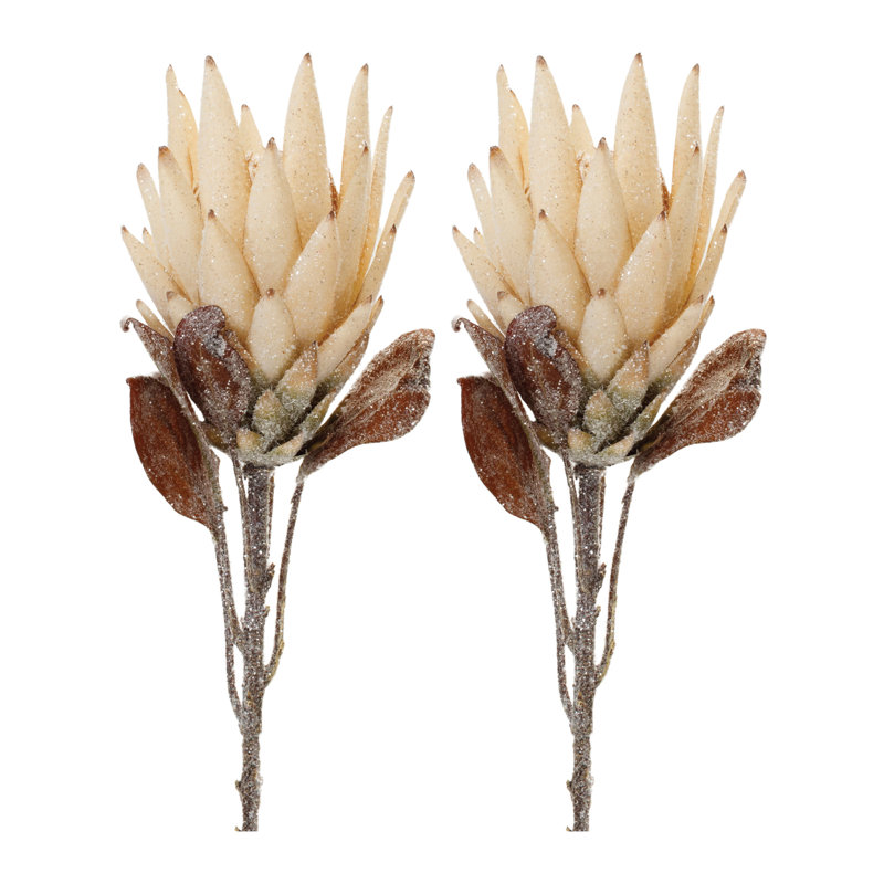 Tige de fleur Protea, Beige / brun