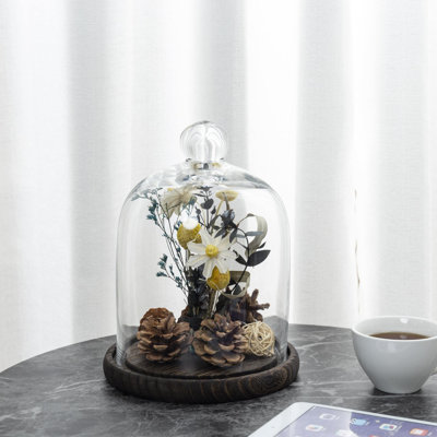 17.8cm Decorative Cloche Dome Jar 
