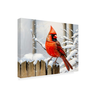 Nikolus Stewart Snow Day Cardinal Canvas Art