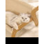Canapé pour chat Sisal Scratching