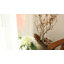 Table d'appoint ronde 16 po Chandria