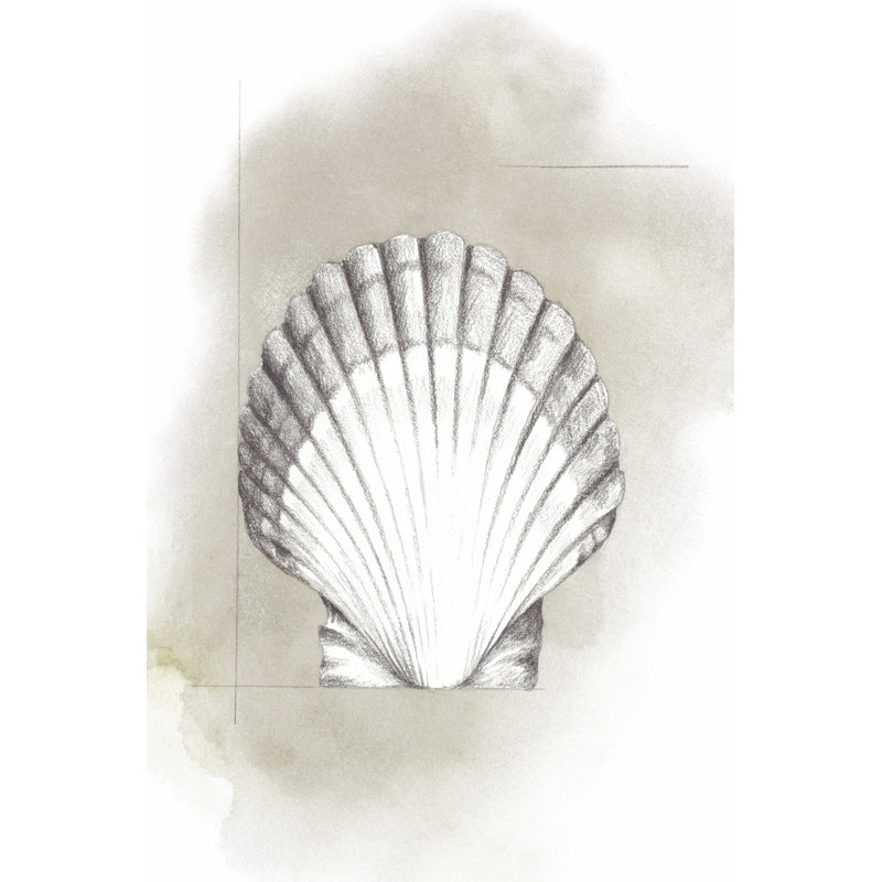 Shell Diagram II by Grace Popp - Wrapped Canvas Print, 46cm H x 30cm W x 3.8cm D