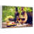 Floating Frame White