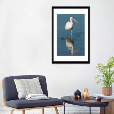 « white ibis fort myers beach floride i », reproduction de photo sur toile