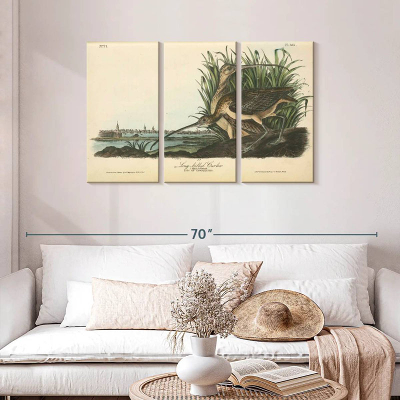Brampt Long-Billed Curlew, 28" H x 45" W