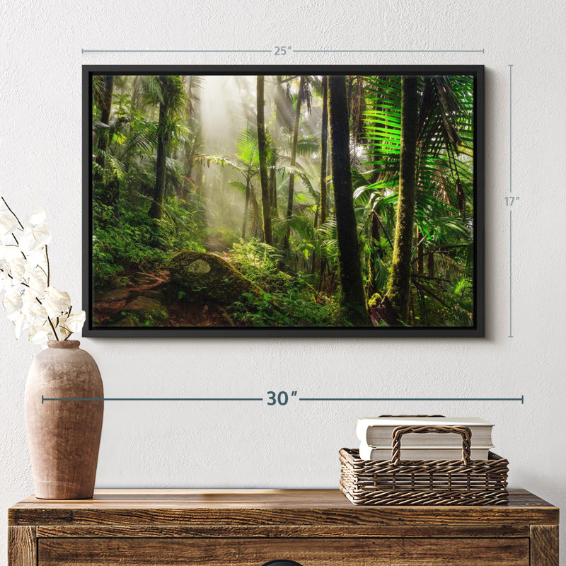 El Yunque National Forest Canvas Print, 17" H x 25" W