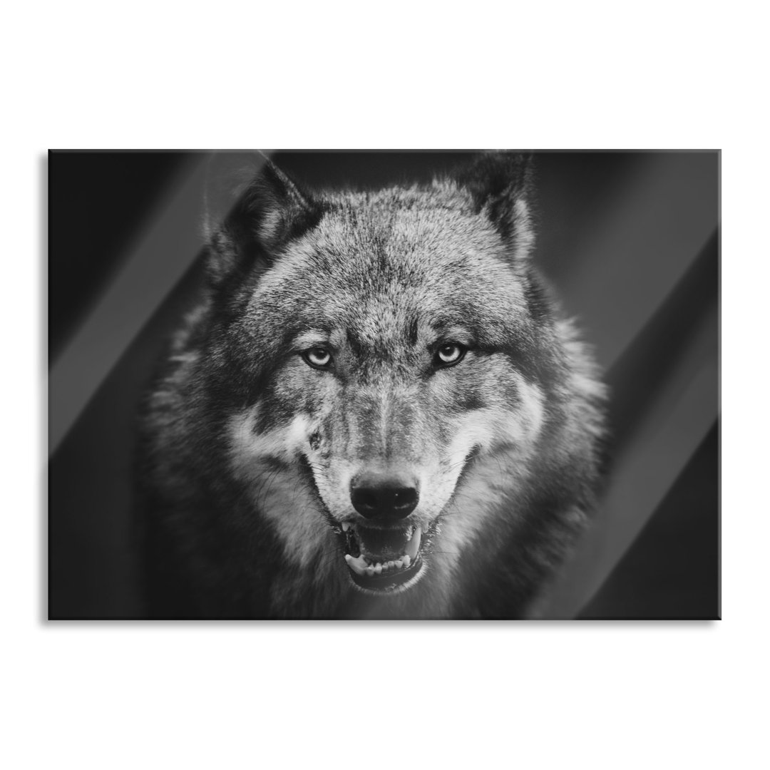 Glasbild Nahaufnahme eines Wolfes mit offener Schnauze