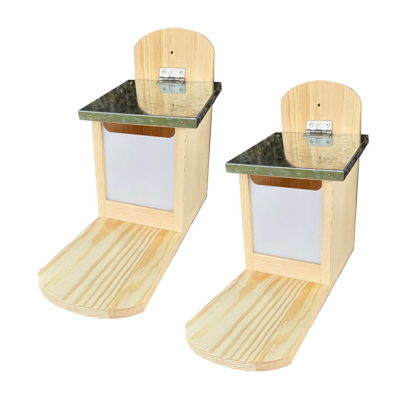 Wall Squirrel Feeder