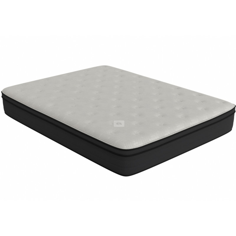 Matelas 12 po Euro, Très grand californien