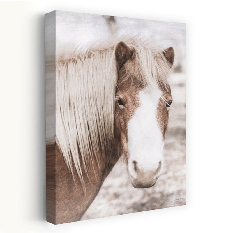 Miel, cheval, poney, art contemporain, H 24 po x l 16 po