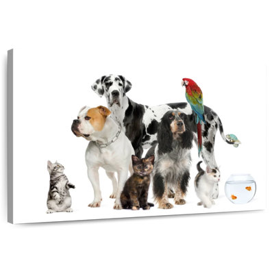 Groupe d'animaux de compagnie
