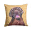 Coussin intérieur/extérieur labrador
