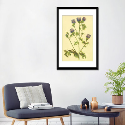 " Thistle " by PI Collection