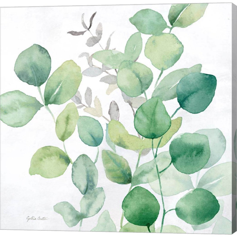 «Eucalyptus Leaves I» par Cynthia Coulter, art mural sur toile