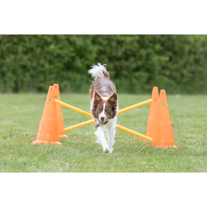 Adjustable Orange and Yellow Dog Agility Hurdle Cone Set
