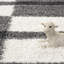 Curron Geometric Shag Area Rug-59602689