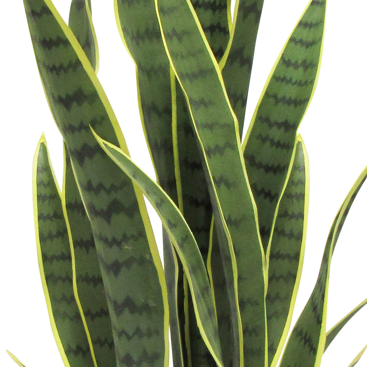 Artificial Sansevieria Snake Plant in Pot, 33.75" H x 13" W x 13" D