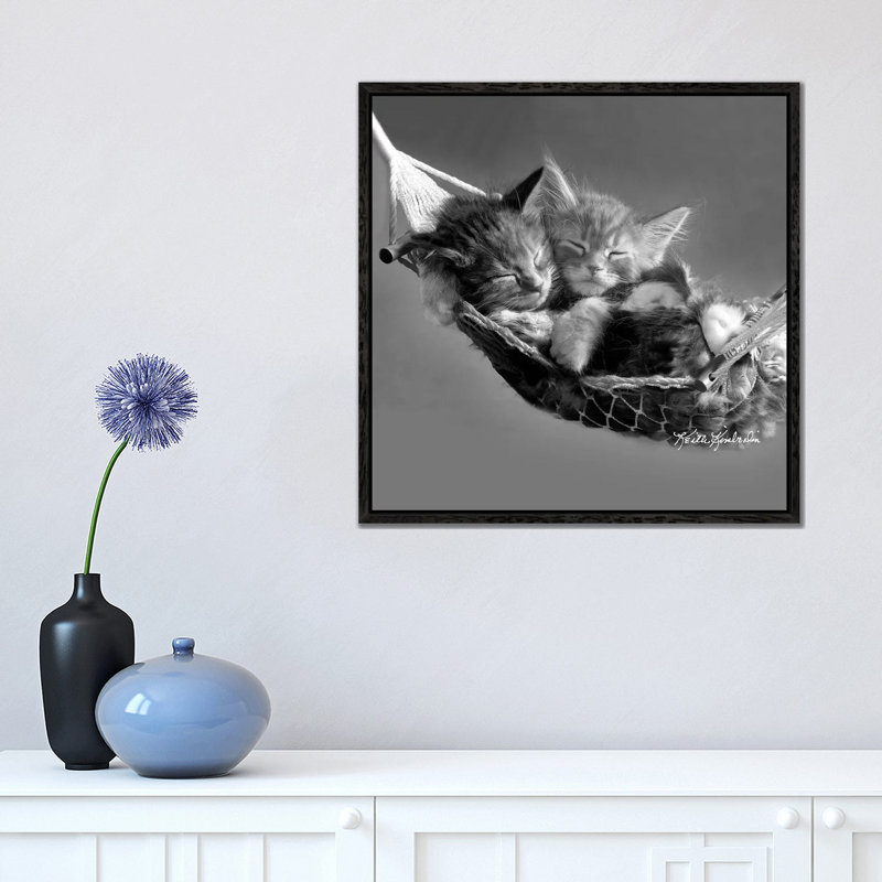 Kits In Hammock by Keith Kimberlin - Print on Canvas, Black Framed, 45.72 cm H x 45.72 cm W