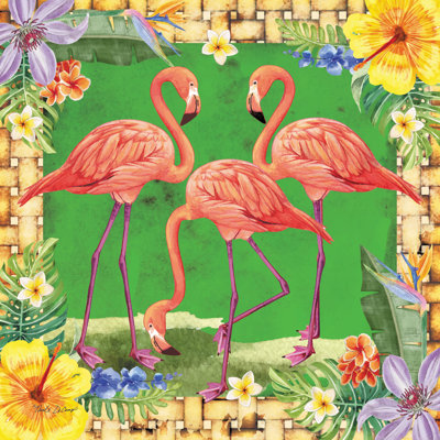 Trio de flamants tropicaux