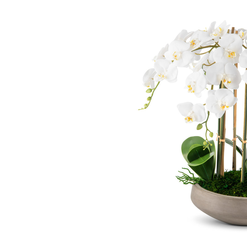 Henrietta RealTouch Orchid Arrangement, Snow