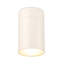 Reflex Acrylic LED Flush Mount