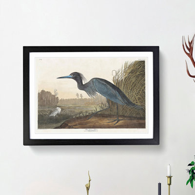 Blue Heron by John James Audubon - Picture Frame Art Print
