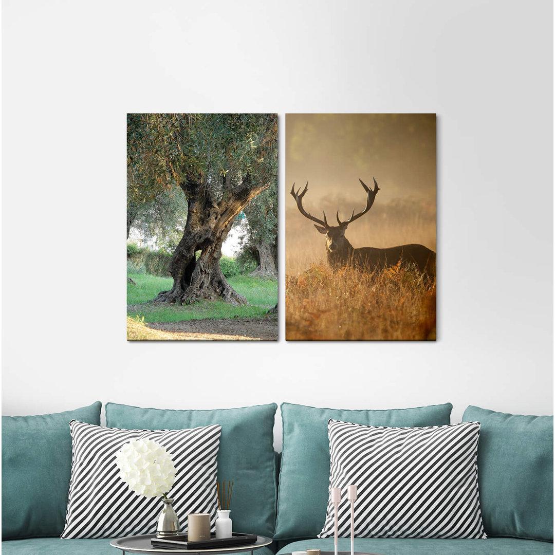 2-tlg. Leinwandbilder-Set - Fotografie „Deer Antlers Nature Old Tree Forest Calming Game”