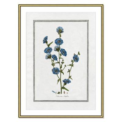 Colombe "Soft Botanical I" Print