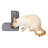 PetSafe Analog 2 Meal Programmable Pet Feeder
