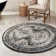 Shanil Oriental Indoor Rug