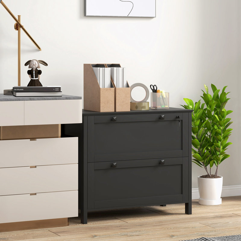 Metal frame File Cabinet with 2 Drawers and Keys