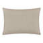 Daleyza Lumbar Pillow Cover & Insert