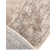 Cantey Oriental Indoor Rug