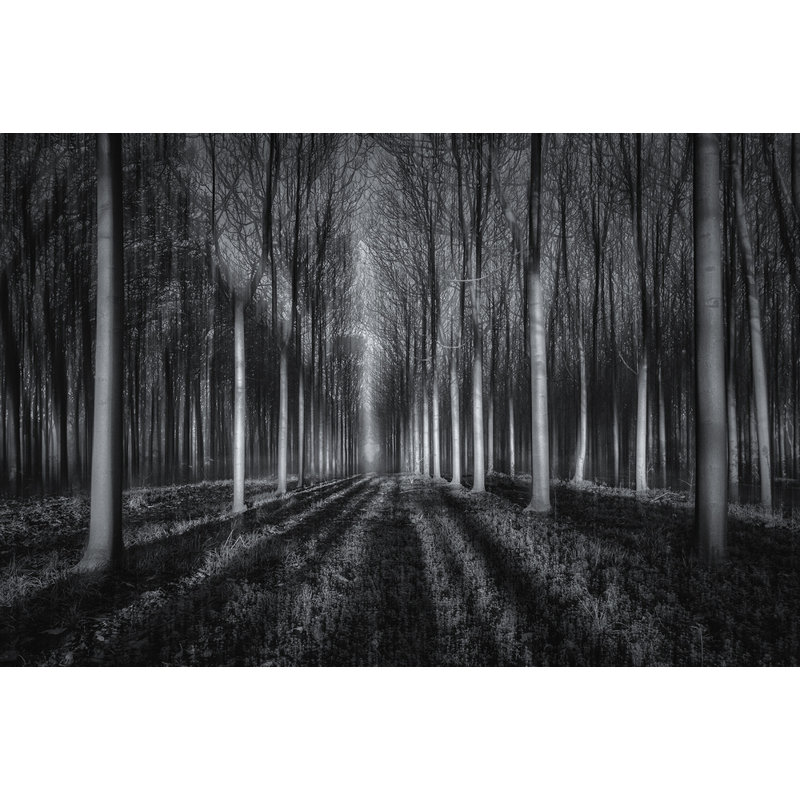 Wrapped Canvas Print, 50.8 cm H x 76.2 cm W