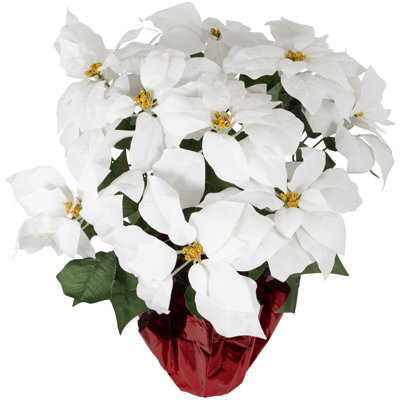 Poinsettia Floral Arrangement