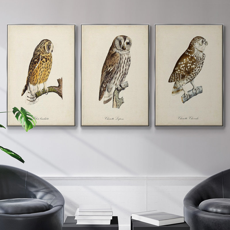 French Owls I - ensemble de 3 reproductions sur toile, H 48 po x l 96 po x P 2 po, Encadrement argenté
