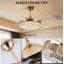 Ventilateurs de plafond Modern Farmhouse avec lumières rétractables et moteur à 6 vitesses réversible doré